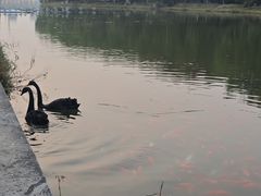 -河北省园博园