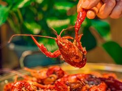 -赤甲皇(仙霞路店)