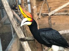 -清迈夜间动物园