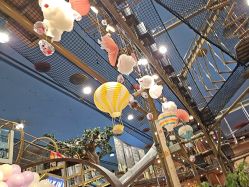 -卡通尼·Safari非洲探索乐园·生日会(金桥国际商业广场店)