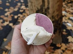 -Dip in Gelato(富民路店)