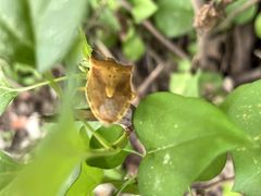 -哈尔滨师范大学(松北校区)