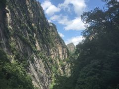 -青峰峡国家森林公园