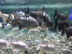 -成都浩海立方海洋公园