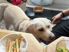 -Grande A'moo(上海万象城店)