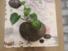 -58度品质川菜馆(经一路店)