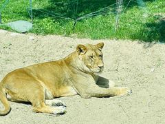 -北京野生动物园