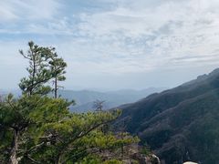 -牛背梁国家森林公园