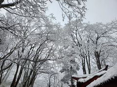 -峨眉山风景名胜区