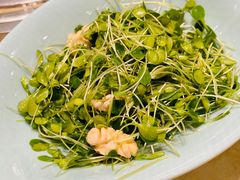 桃仁香椿苗-南来顺饭庄·清真(南菜园店)