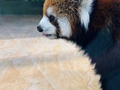 -哈尔滨极地公园