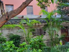 -南京钟山宾馆(江苏省会议中心)