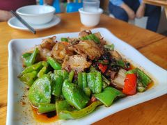 青椒回锅肉-柏合黄记豆腐皮饭店