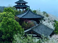 -杭州半山国家森林公园