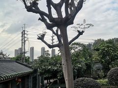 -广州神农草堂中医药博物馆