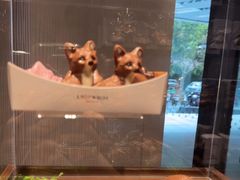 -Laderach 莱德拉(上海环贸iapm店)