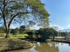 -中国科学院西双版纳热带植物园