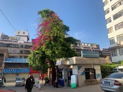 -云南省中医医院(光华院区)