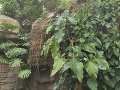 -石家庄市植物园