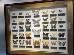 -上海昆虫博物馆