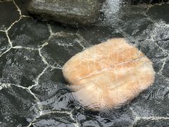 -明月山天沐温泉度假村