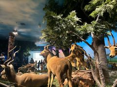 -国家自然博物馆