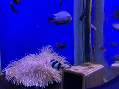 -海合安武汉极地海洋公园