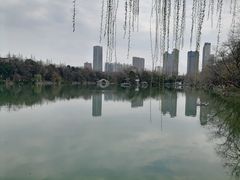 -浮庄
