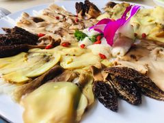 野生鲜松茸菌-墨脱石锅椰子鸡•香草鸭•东山羊(大东海店)