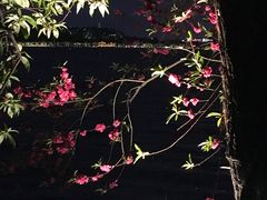 -西湖天地