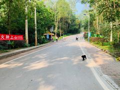 -火炉山森林公园