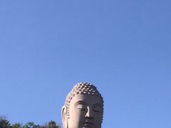 -蒙山大佛景区