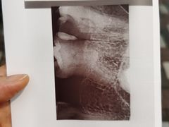 -杨浦区牙防所(中原门诊部)