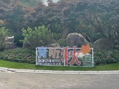 -青枫公园