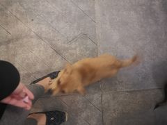 -三生小馆(亭知路店)