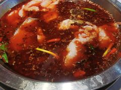 -蜀滋香鲜鱼美蛙火锅(339店)