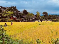 -桂林两江四湖景区