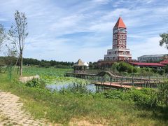 -日照海滨国家森林公园