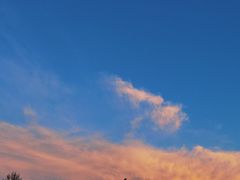 -达美乐比萨(国瑞北路店)