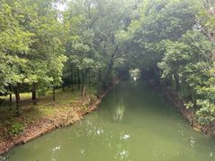 -同里国家湿地公园