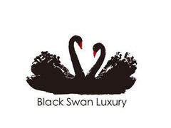 -BLACKSWAN黑天鹅(环球店)