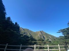 -牛背梁国家森林公园