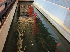 -龙悦湾酒家·八阵鱼生·渔人码头店