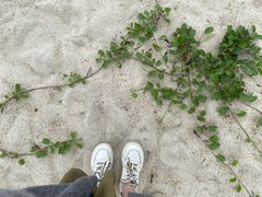 -玫瑰海岸文化旅游度假区