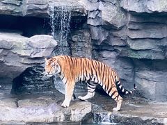 -宁波野生动物园