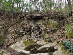 -上海佘山国家森林公园天马山园