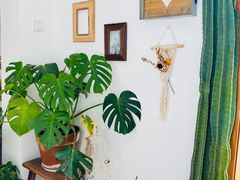 -AHAVA·Fang Baking Studio