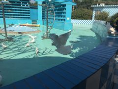 -百万葵园