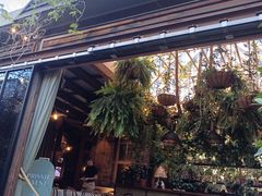 -The Grounds of Alexandria