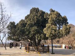 -狼牙山风景区